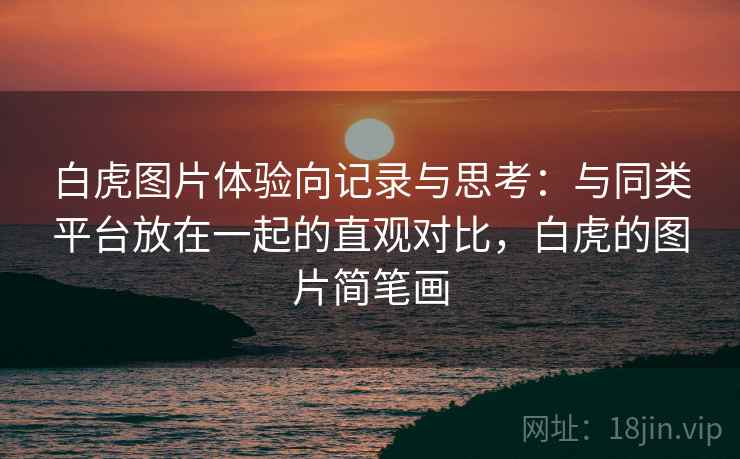 白虎图片体验向记录与思考：与同类平台放在一起的直观对比，白虎的图片简笔画