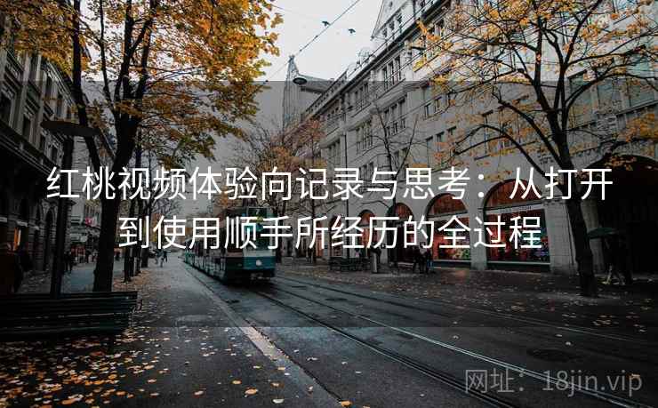 红桃视频体验向记录与思考：从打开到使用顺手所经历的全过程