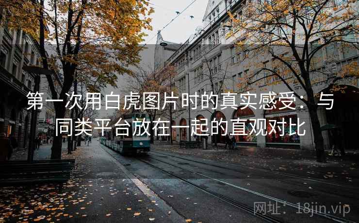 第一次用白虎图片时的真实感受：与同类平台放在一起的直观对比