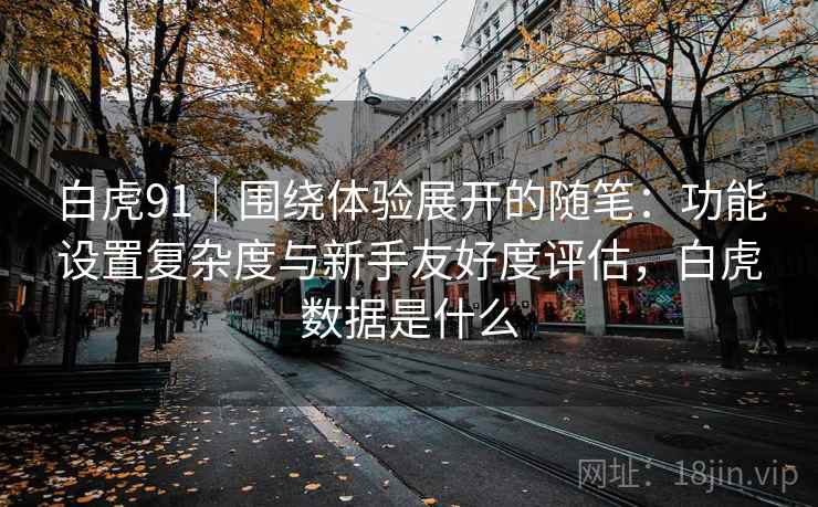 白虎91｜围绕体验展开的随笔：功能设置复杂度与新手友好度评估，白虎数据是什么