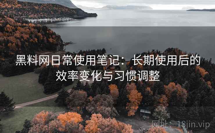 黑料网日常使用笔记：长期使用后的效率变化与习惯调整