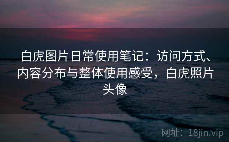 白虎图片日常使用笔记：访问方式、内容分布与整体使用感受，白虎照片头像