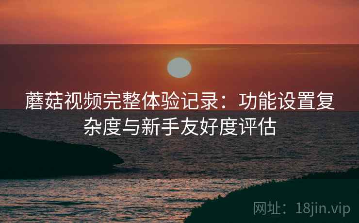 蘑菇视频完整体验记录：功能设置复杂度与新手友好度评估