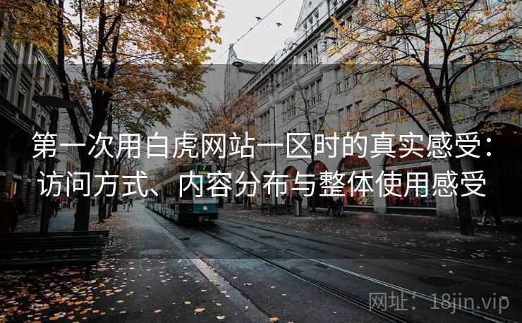第一次用白虎网站一区时的真实感受:访问方式、内容分布与整体使用感受 第一次用白虎网站一区时的真实感受:访问方式、内容分布与整体使用感受