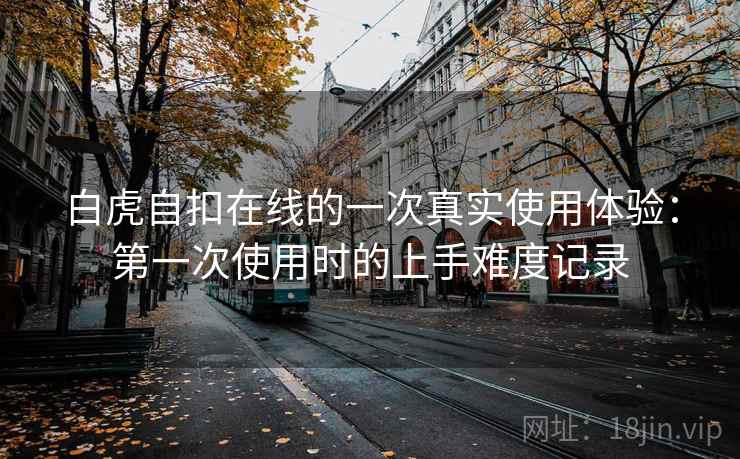 白虎自扣在线的一次真实使用体验：第一次使用时的上手难度记录