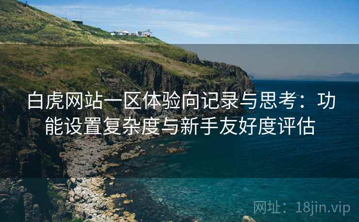 白虎网站一区体验向记录与思考：功能设置复杂度与新手友好度评估