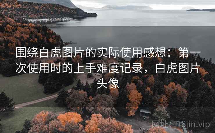 围绕白虎图片的实际使用感想：第一次使用时的上手难度记录，白虎图片头像