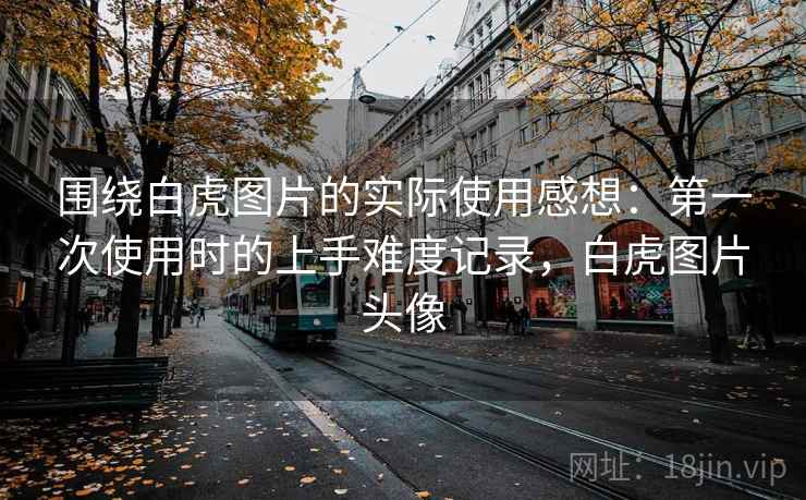 围绕白虎图片的实际使用感想:第一次使用时的上手难度记录,白虎图片头像 围绕白虎图片的实际使用感想:第一次使用时的上手难度记录,白虎图片头像