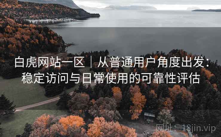 白虎网站一区｜从普通用户角度出发：稳定访问与日常使用的可靠性评估