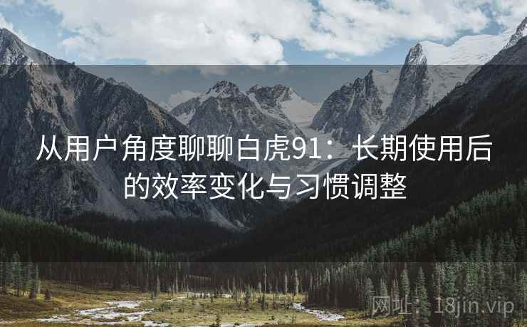 从用户角度聊聊白虎91：长期使用后的效率变化与习惯调整