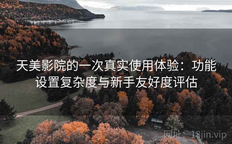 天美影院的一次真实使用体验：功能设置复杂度与新手友好度评估