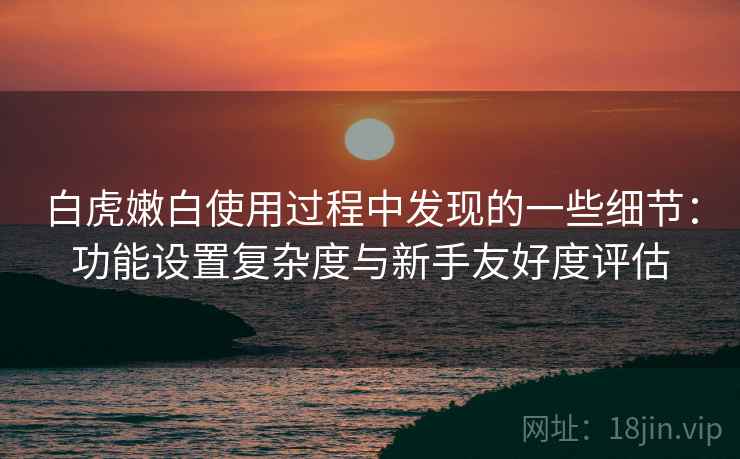 白虎嫩白使用过程中发现的一些细节:功能设置复杂度与新手友好度评估 白虎嫩白使用过程中发现的一些细节:功能设置复杂度与新手友好度评估