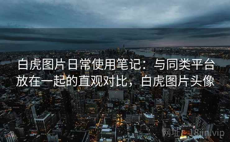 白虎图片日常使用笔记：与同类平台放在一起的直观对比，白虎图片头像