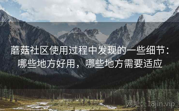 蘑菇社区使用过程中发现的一些细节:哪些地方好用,哪些地方需要适应 蘑菇社区使用过程中发现的一些细节:哪些地方好用,哪些地方需要适应